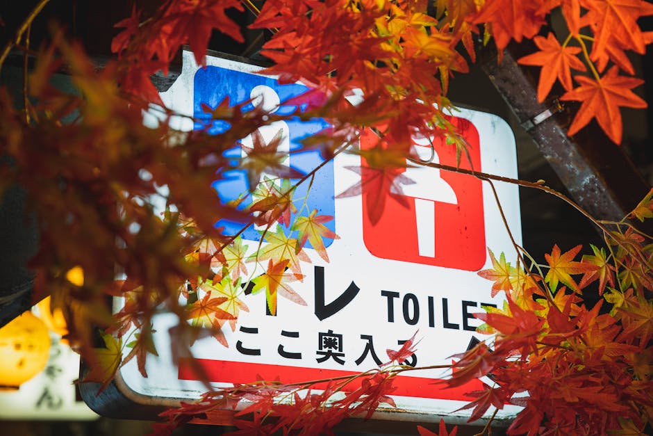 Colorful electric signboard showing public toilets hanging under trees with bright foliage in night