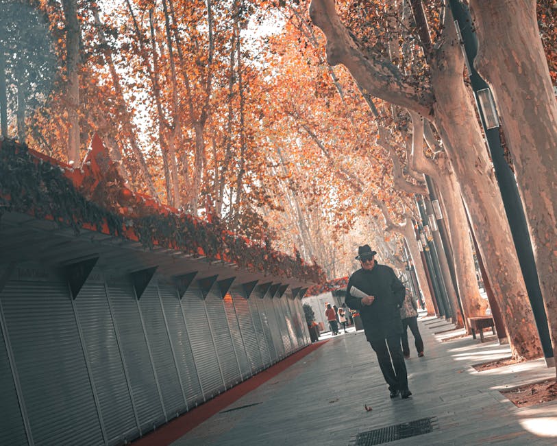 Full body mature man with newspaper walking on pavement near fence and trees in autumn morning in city